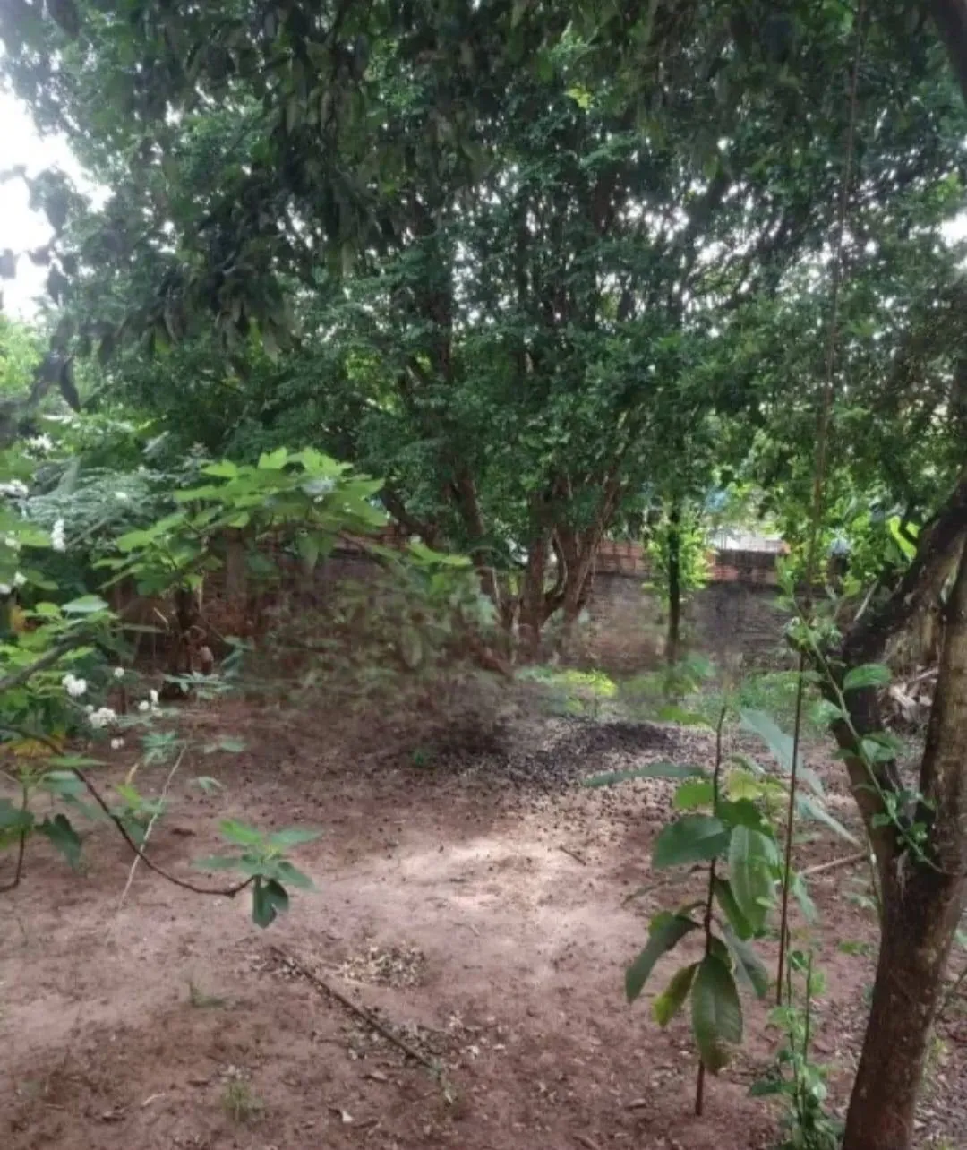 Casa com 2 quartos à venda, 330m² — foto 9 de 16