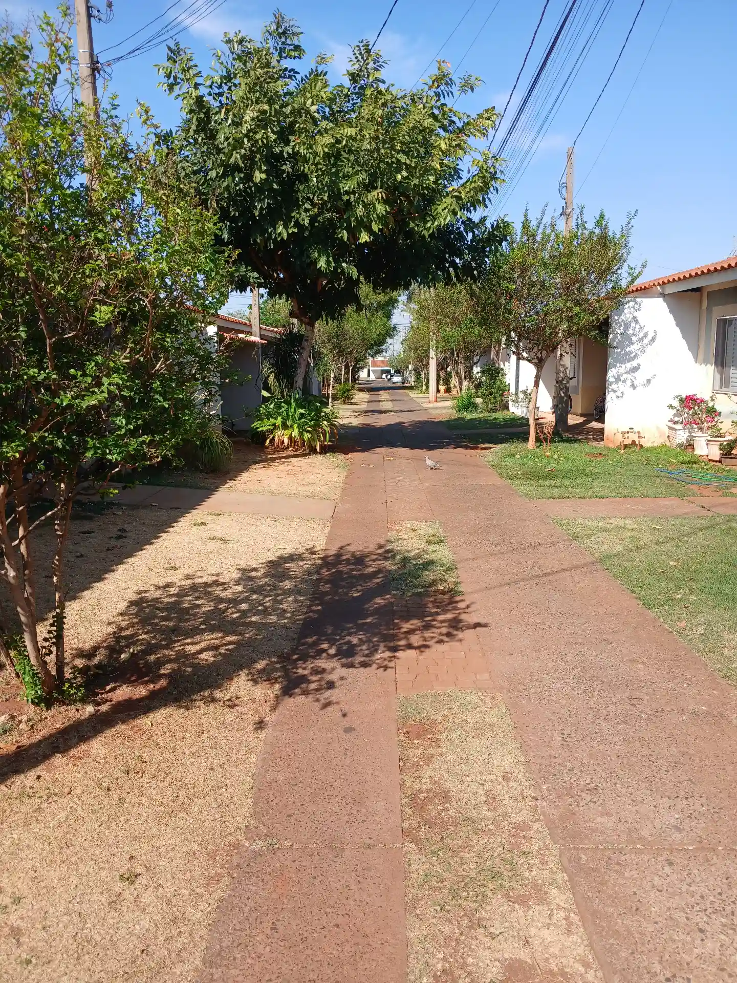 Casa de Condomínio com 2 quartos à venda, 54m² — foto 2 de 11
