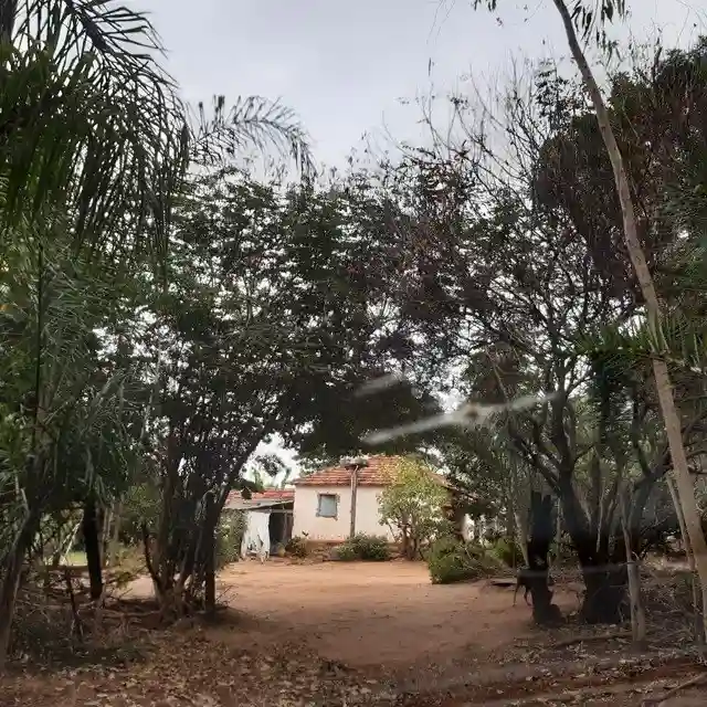 Fazenda / Sítio / Chácara  à venda, 264m² — foto 15 de 20