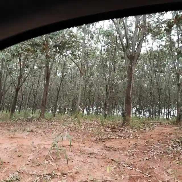Fazenda / Sítio / Chácara  à venda, 264m² — foto 2 de 20