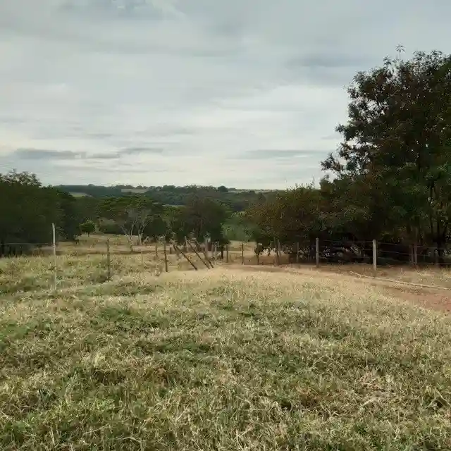Fazenda / Sítio / Chácara  à venda, 264m² — foto 10 de 20