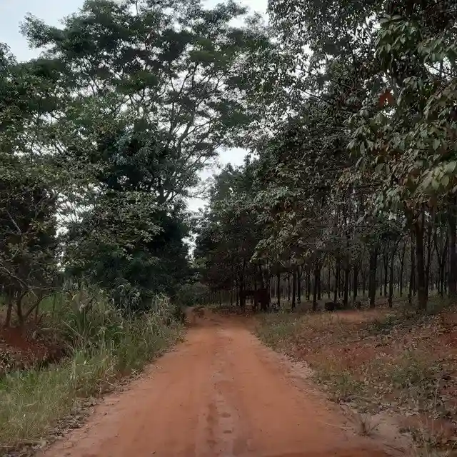 Fazenda / Sítio / Chácara  à venda, 264m² — foto 6 de 20