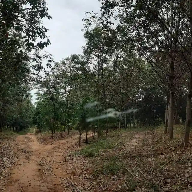 Fazenda / Sítio / Chácara  à venda, 264m² — foto 16 de 20