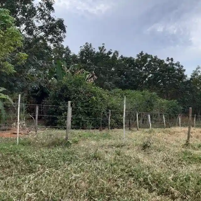 Fazenda / Sítio / Chácara  à venda, 264m² — foto 20 de 20