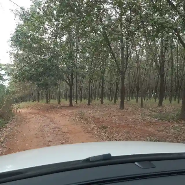 Fazenda / Sítio / Chácara  à venda, 264m² — foto 4 de 20