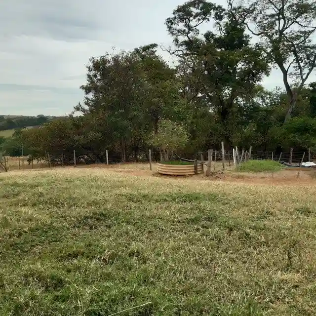 Fazenda / Sítio / Chácara  à venda, 264m² — foto 5 de 20