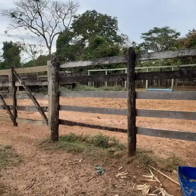 Fazenda / Sítio / Chácara  à venda, 264m² — foto 7 de 20