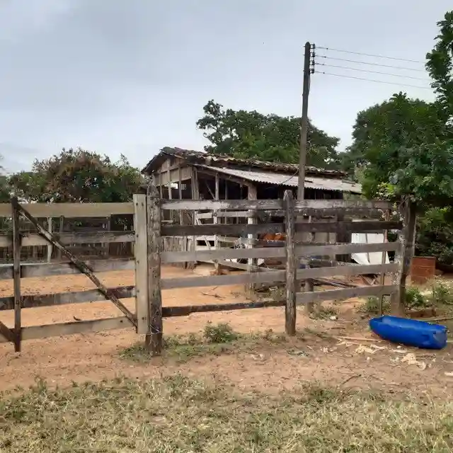 Fazenda / Sítio / Chácara  à venda, 264m² — foto 19 de 20