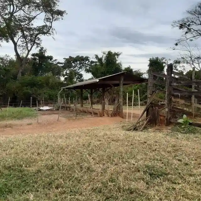 Fazenda / Sítio / Chácara  à venda, 264m² — foto 3 de 20
