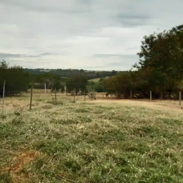 Fazenda / Sítio / Chácara  à venda, 264m² — foto 17 de 20