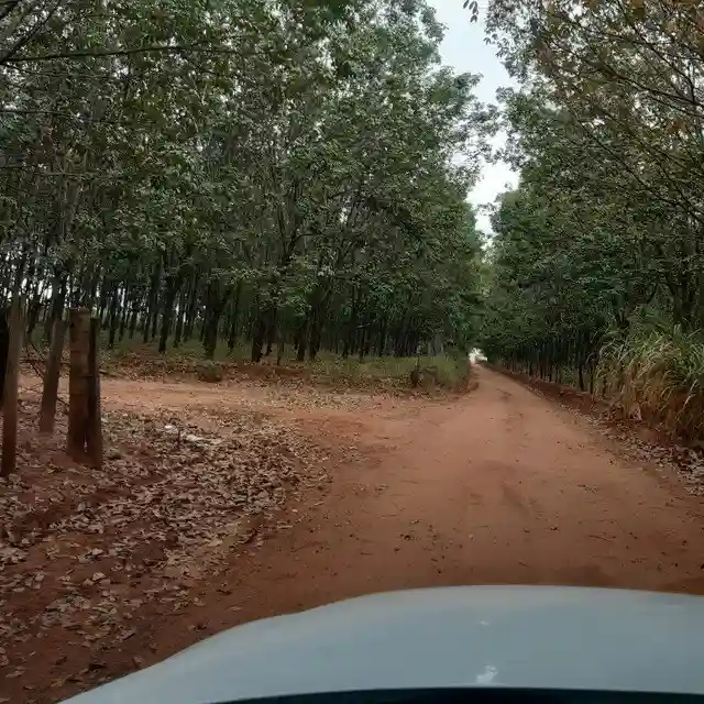 Fazenda / Sítio / Chácara  à venda, 264m² — foto 13 de 20