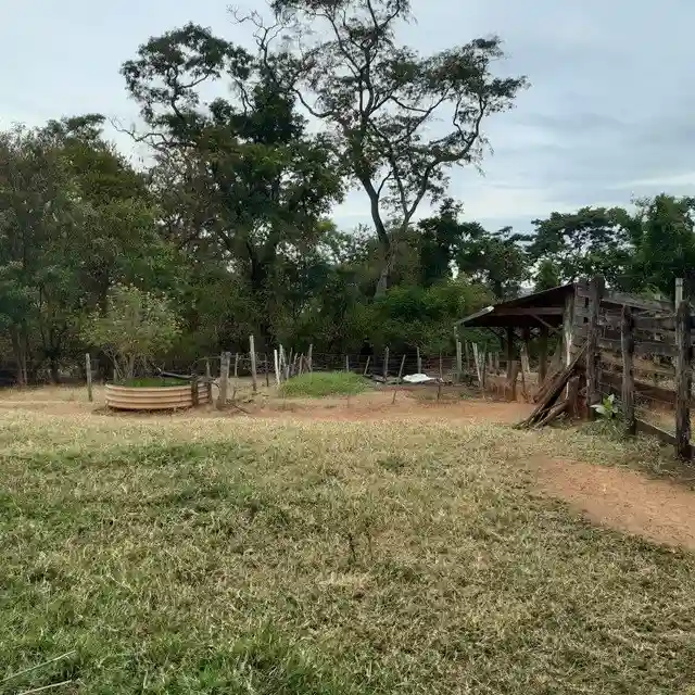 Fazenda / Sítio / Chácara  à venda, 264m² — foto 18 de 20