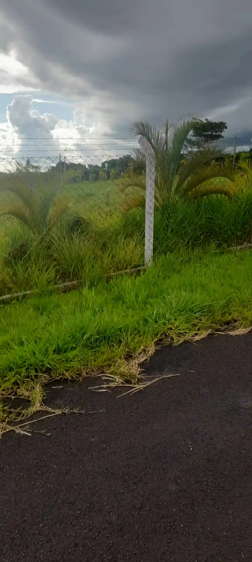 Terreno / Lote / Condomínio  à venda, 5080m² — foto 3 de 5