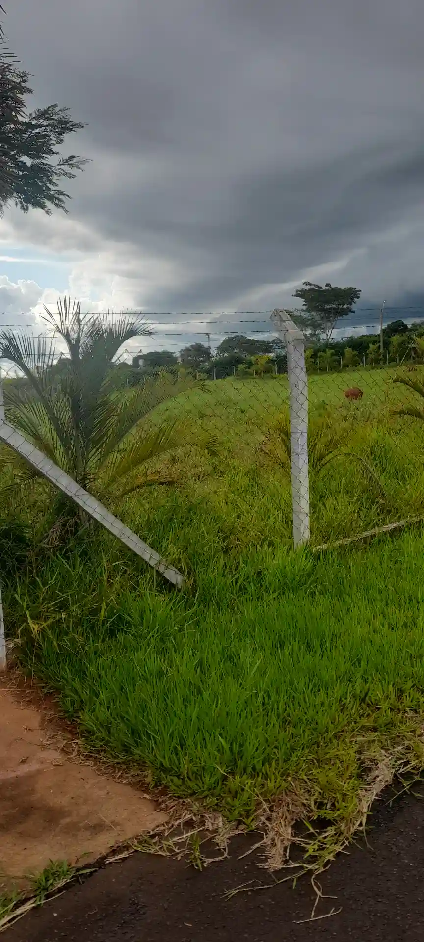 Terreno / Lote / Condomínio  à venda, 5080m² — foto 4 de 5