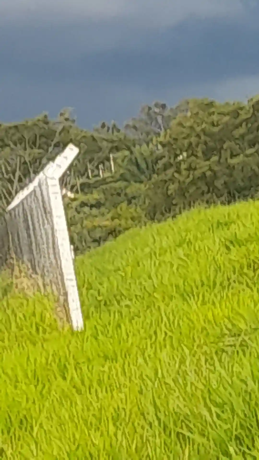 Terreno / Lote / Condomínio  à venda, 5080m² — foto 5 de 5