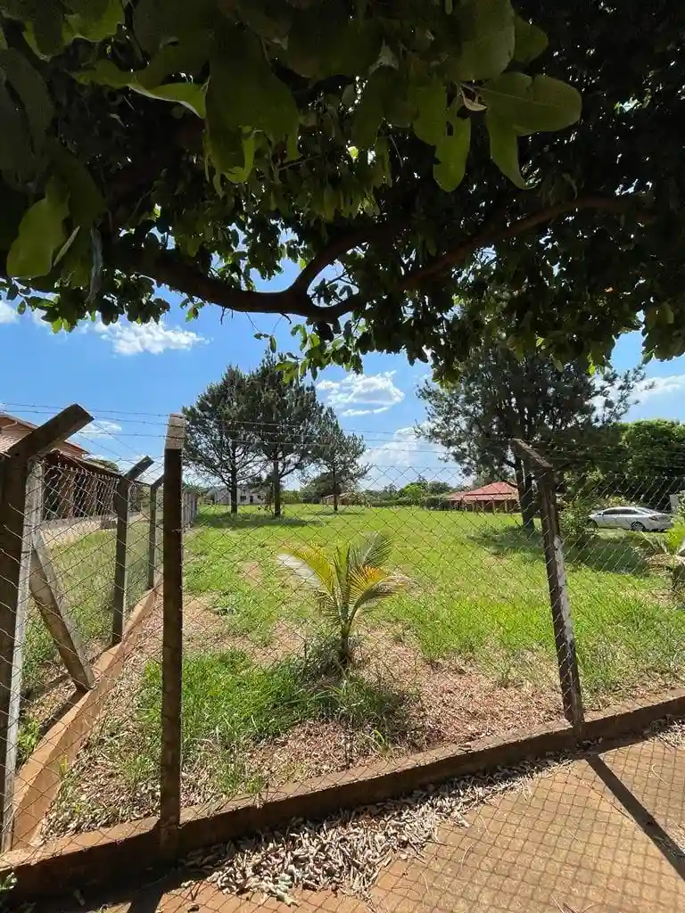 Fazenda / Sítio / Chácara com 2 quartos à venda, 3831m² — foto 4 de 20