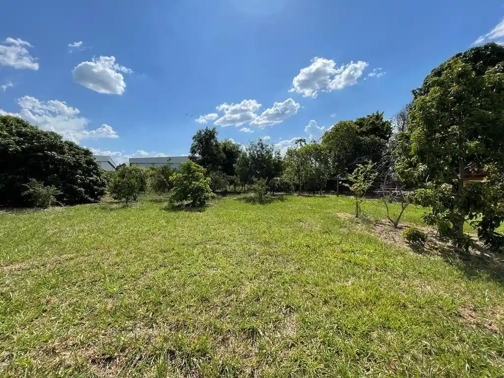 Fazenda / Sítio / Chácara com 2 quartos à venda, 3831m² — foto 19 de 20