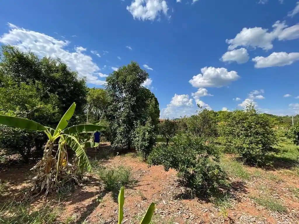 Fazenda / Sítio / Chácara com 2 quartos à venda, 3831m² — foto 13 de 20