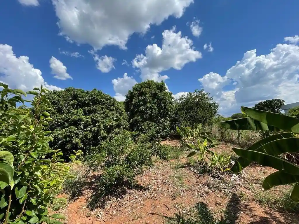 Fazenda / Sítio / Chácara com 2 quartos à venda, 3831m² — foto 15 de 20