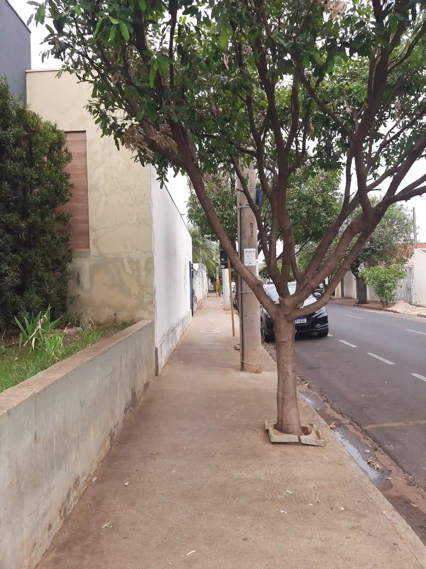 Casa Comercial com 7 quartos à venda, 338m² — foto 28 de 28