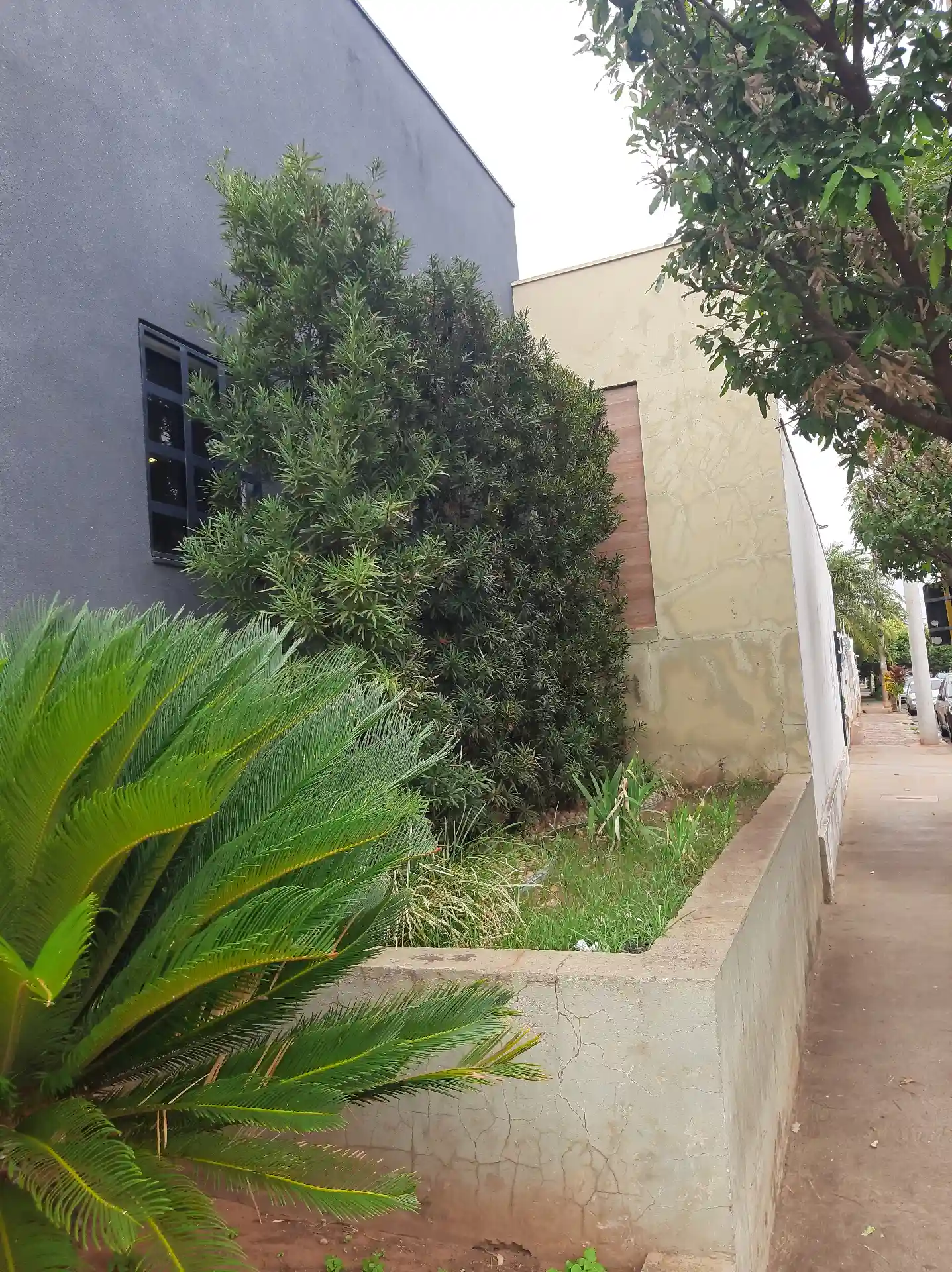 Casa Comercial com 7 quartos à venda, 338m² — foto 26 de 28