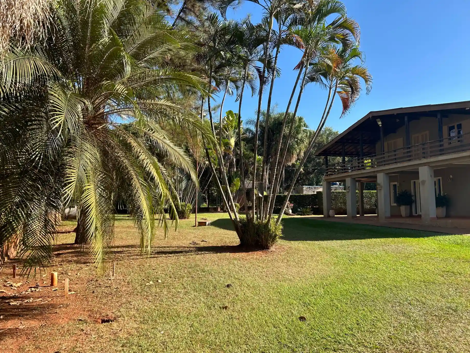 Fazenda / Sítio / Chácara com 5 quartos à venda, 4000m² — foto 4 de 30