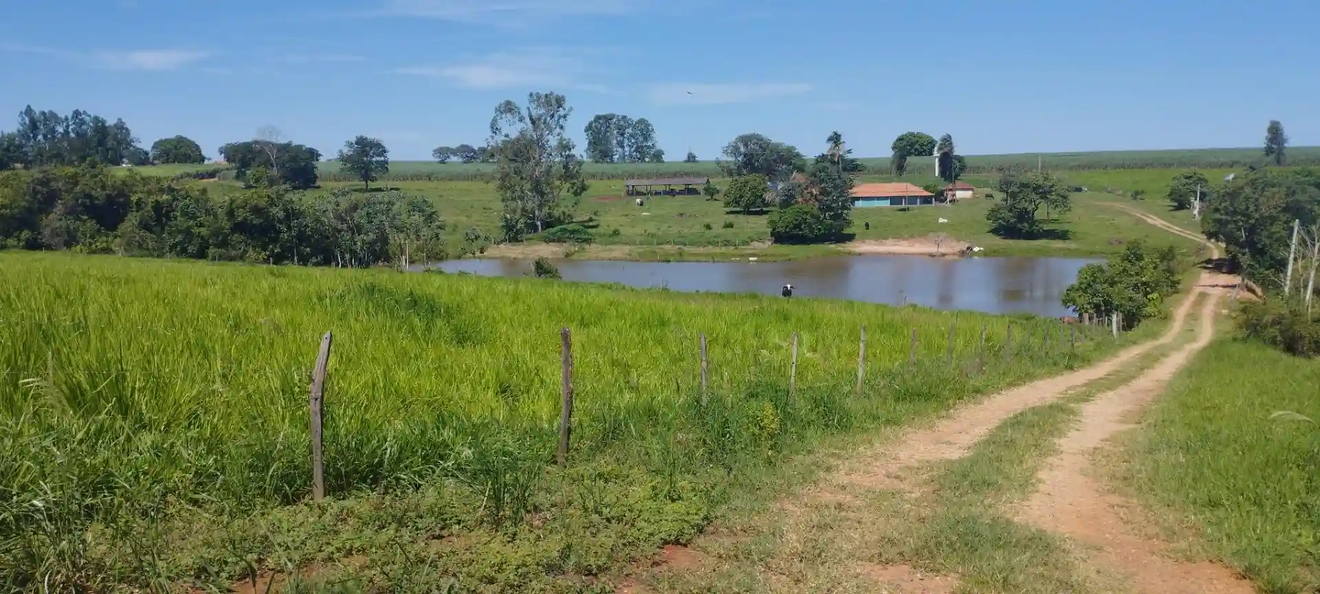 Fazenda / Sítio / Chácara  à venda, 133100m² — foto 44 de 48