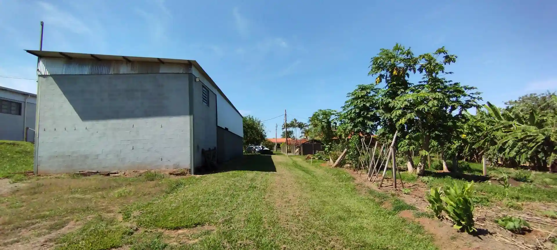 Fazenda / Sítio / Chácara  à venda, 133100m² — foto 18 de 48