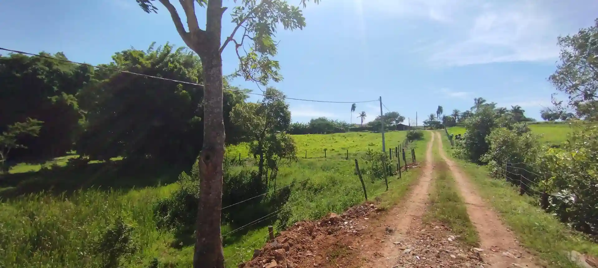 Fazenda / Sítio / Chácara  à venda, 133100m² — foto 42 de 48