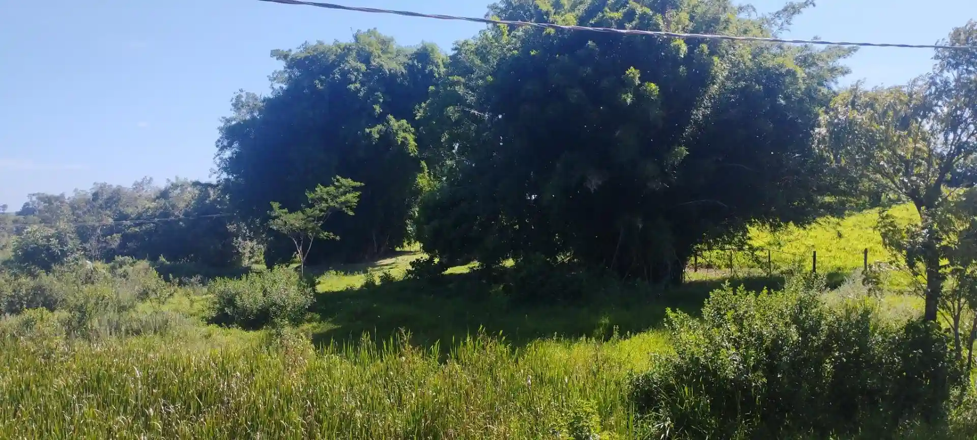 Fazenda / Sítio / Chácara  à venda, 133100m² — foto 47 de 48