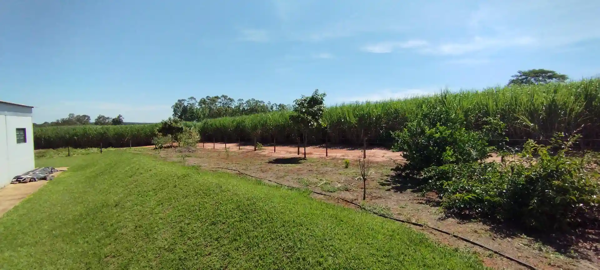 Fazenda / Sítio / Chácara  à venda, 133100m² — foto 23 de 48