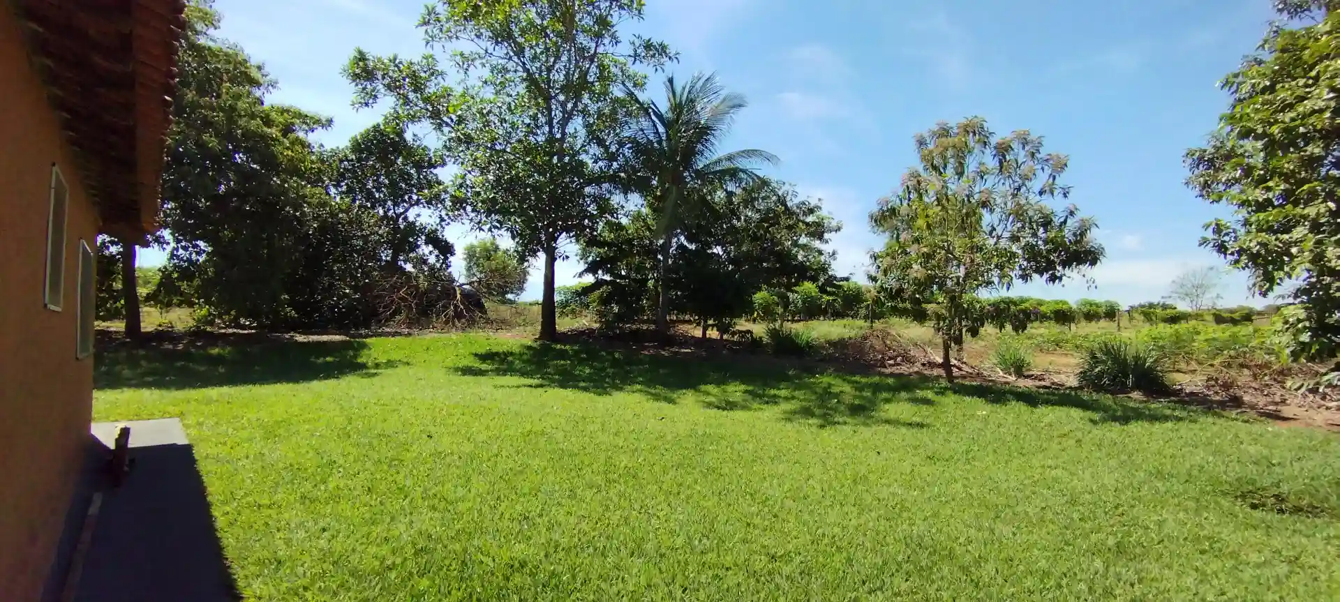 Fazenda / Sítio / Chácara  à venda, 133100m² — foto 10 de 48