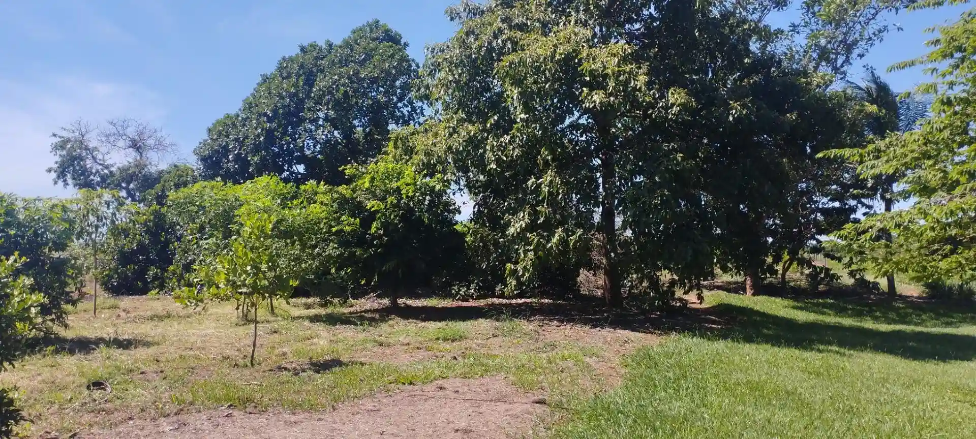 Fazenda / Sítio / Chácara  à venda, 133100m² — foto 40 de 48