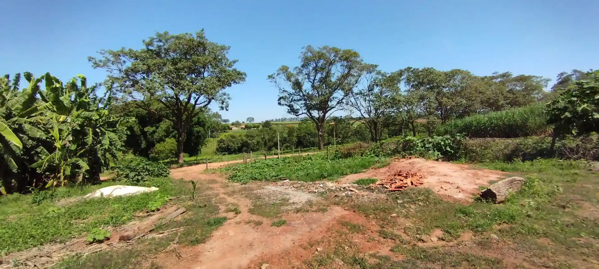 Fazenda / Sítio / Chácara  à venda, 133100m² — foto 39 de 48
