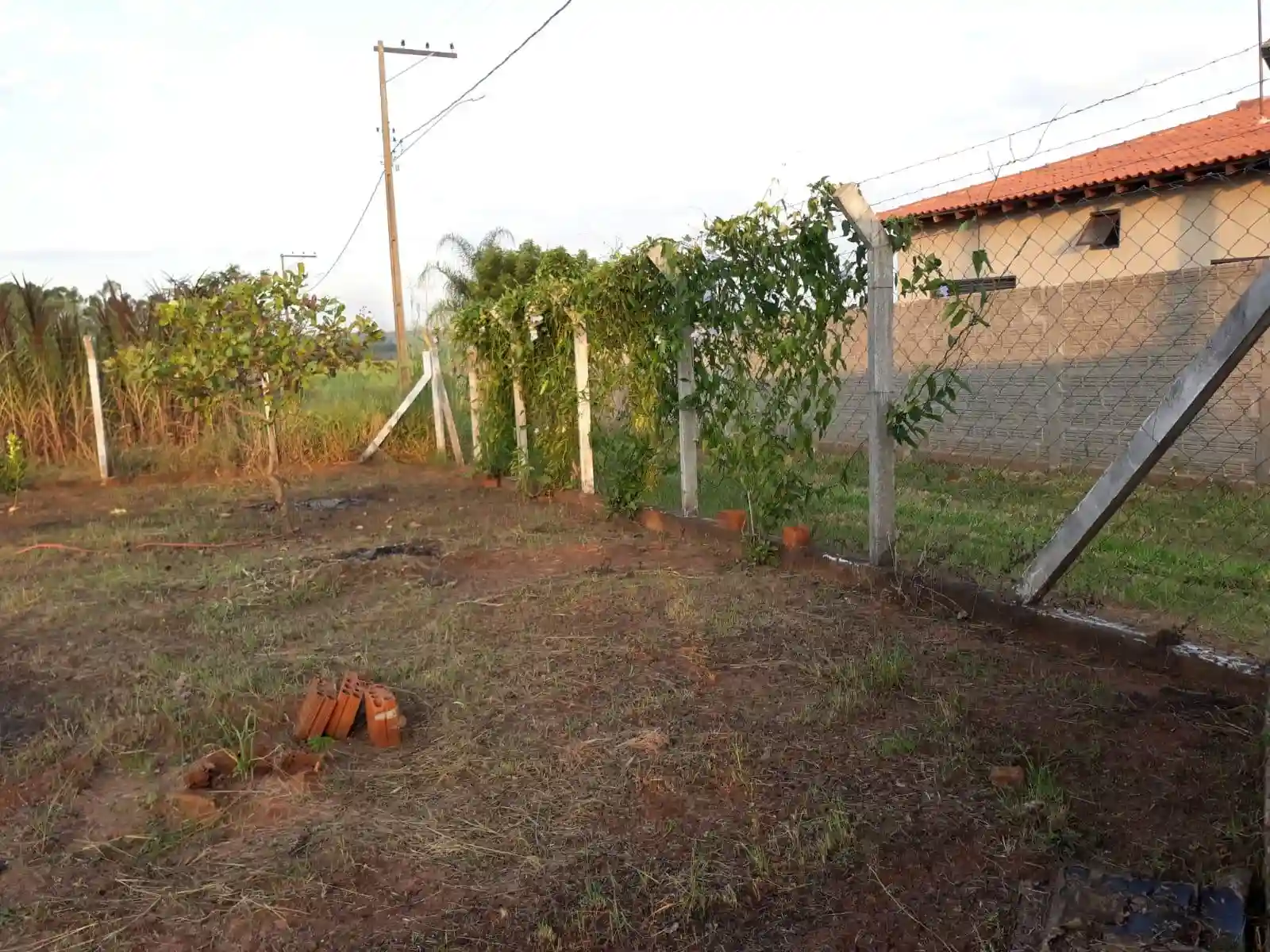 Terreno / Lote / Condomínio  à venda, 1200m² — foto 2 de 28