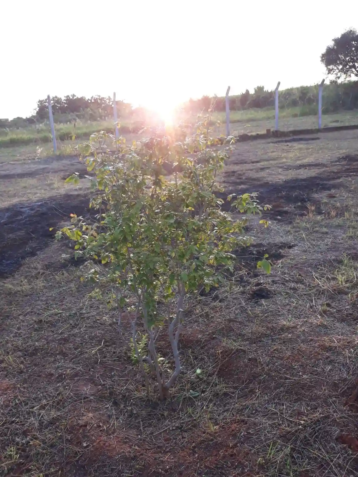 Terreno / Lote / Condomínio  à venda, 1200m² — foto 19 de 28