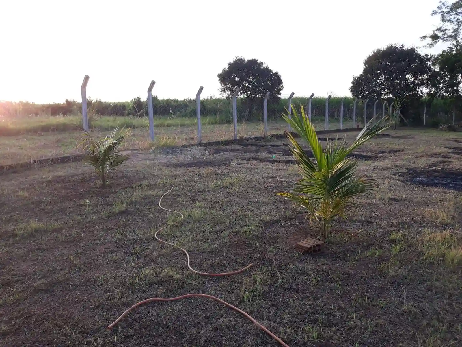 Terreno / Lote / Condomínio  à venda, 1200m² — foto 9 de 28