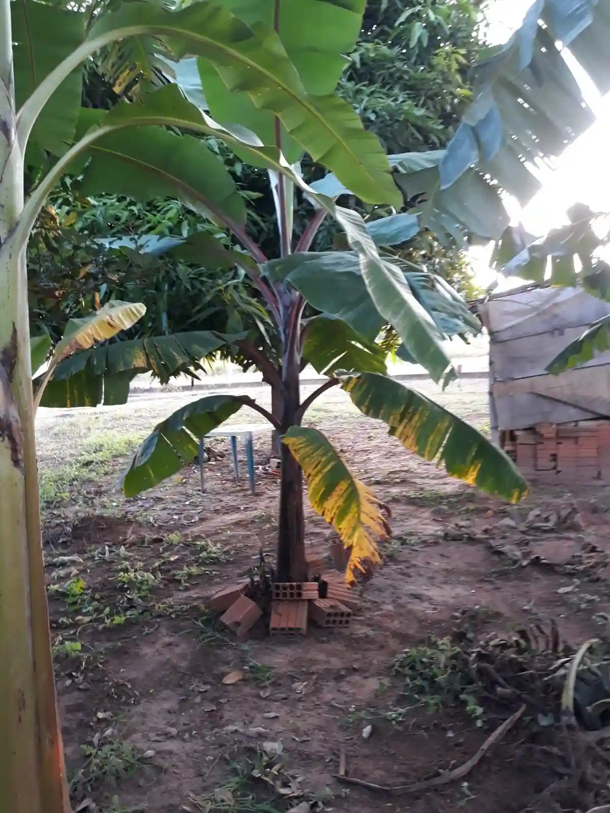 Terreno / Lote / Condomínio  à venda, 1200m² — foto 5 de 28