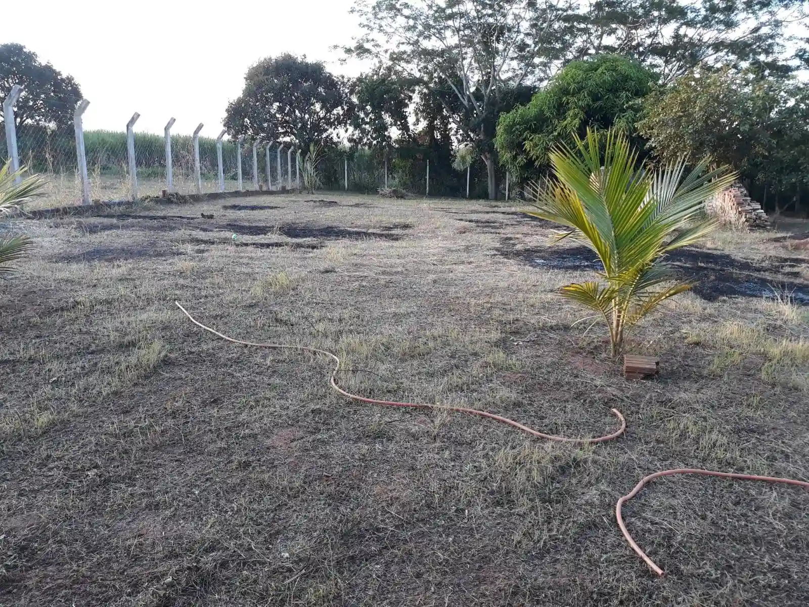 Terreno / Lote / Condomínio  à venda, 1200m² — foto 18 de 28
