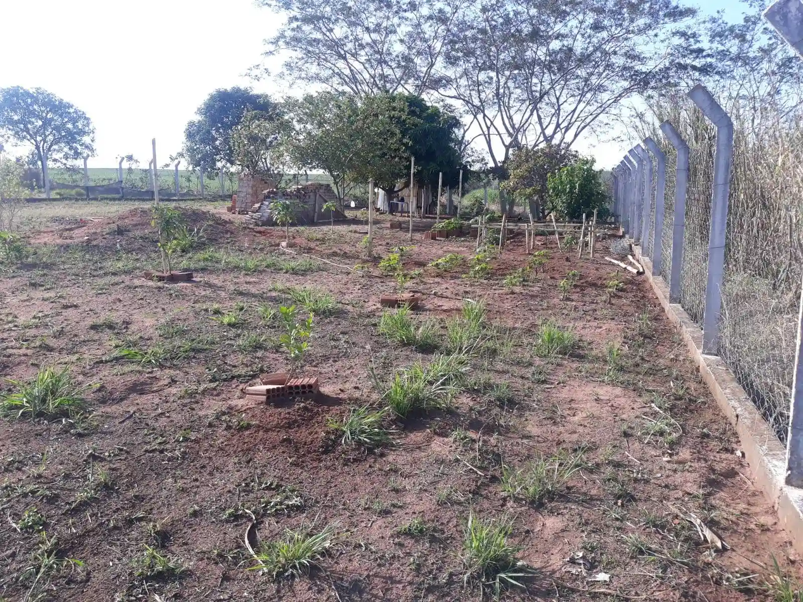 Terreno / Lote / Condomínio  à venda, 1200m² — foto 13 de 28