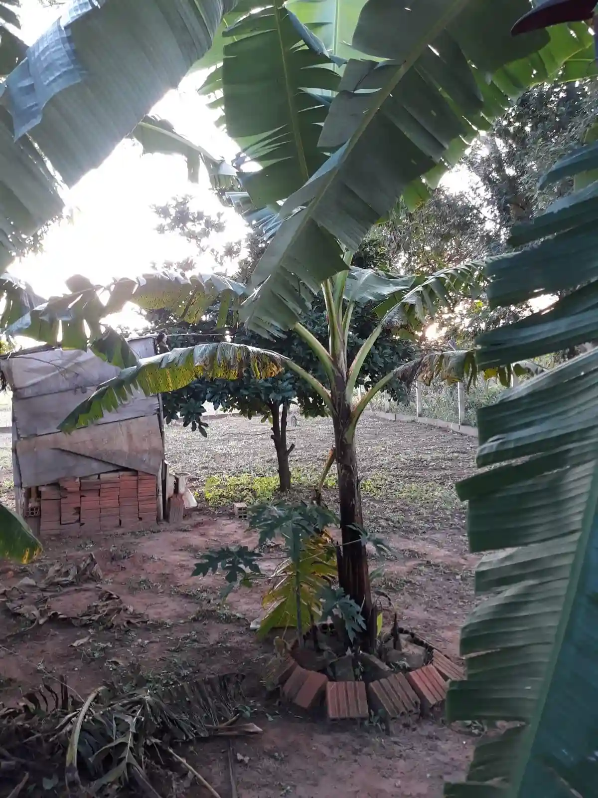 Terreno / Lote / Condomínio  à venda, 1200m² — foto 7 de 28
