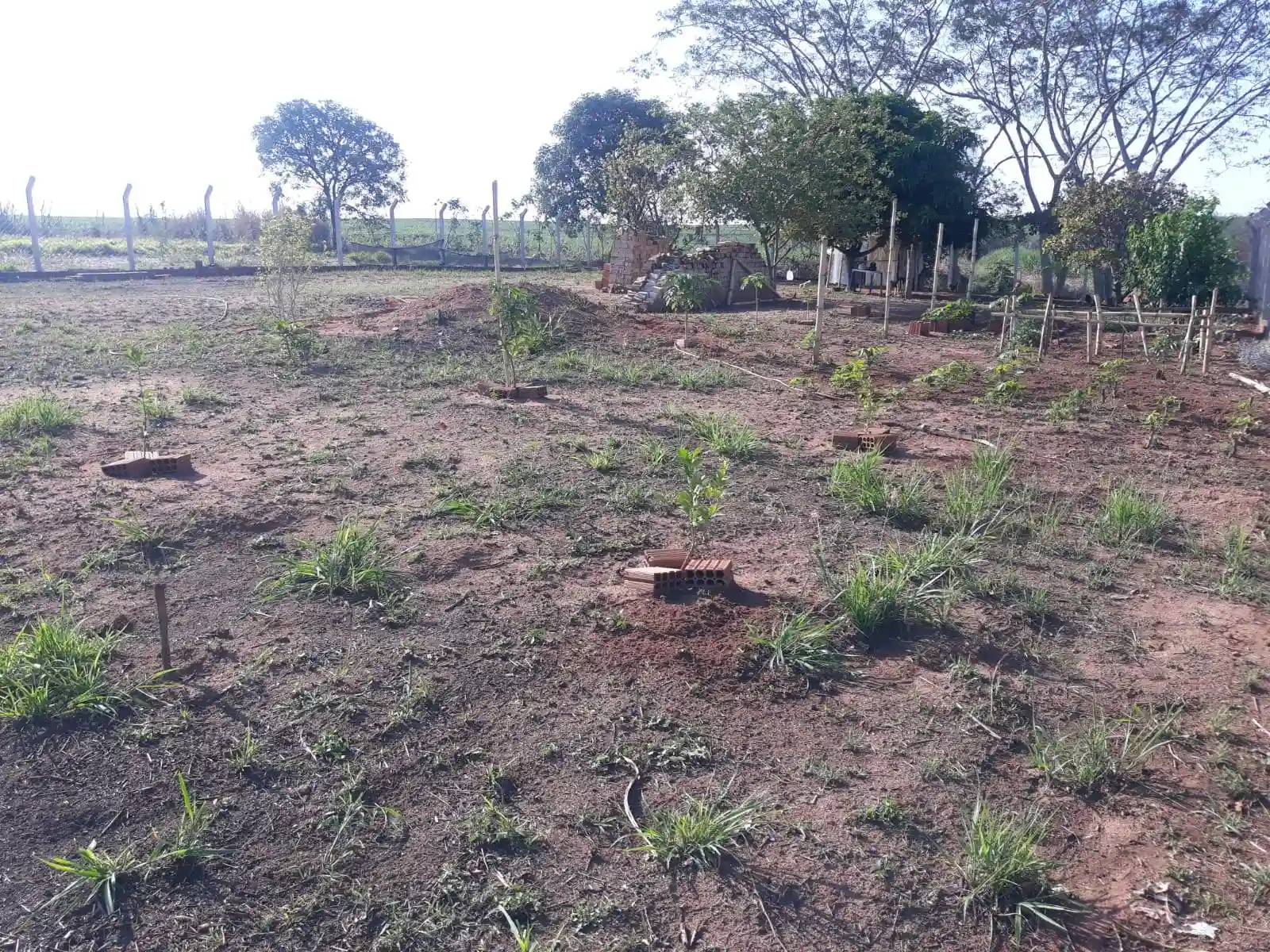 Terreno / Lote / Condomínio  à venda, 1200m² — foto 14 de 28