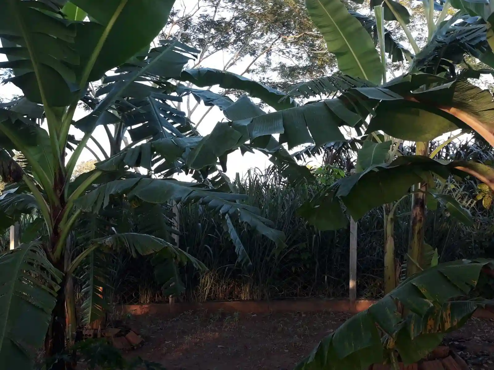 Terreno / Lote / Condomínio  à venda, 1200m² — foto 22 de 28