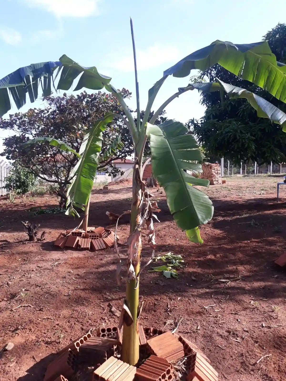Terreno / Lote / Condomínio  à venda, 1200m² — foto 24 de 28