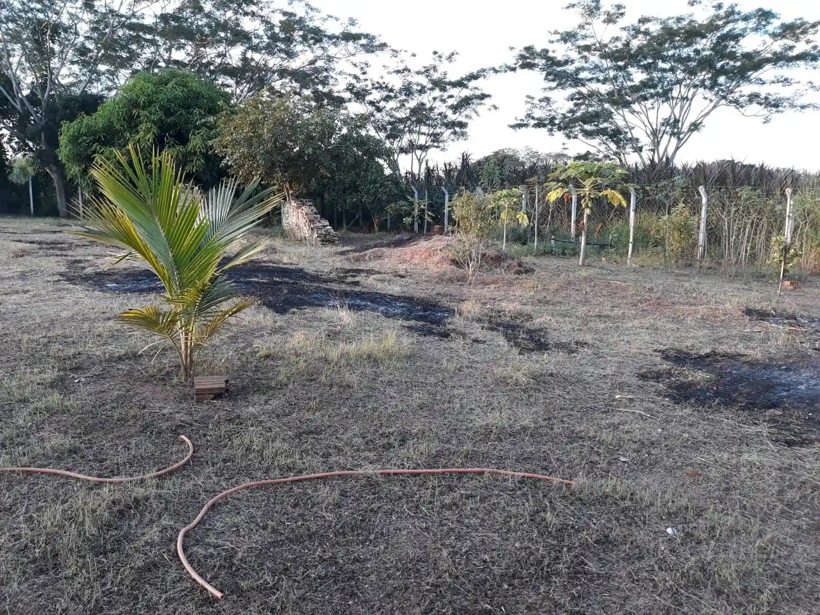Terreno / Lote / Condomínio  à venda, 1200m² — foto 23 de 28