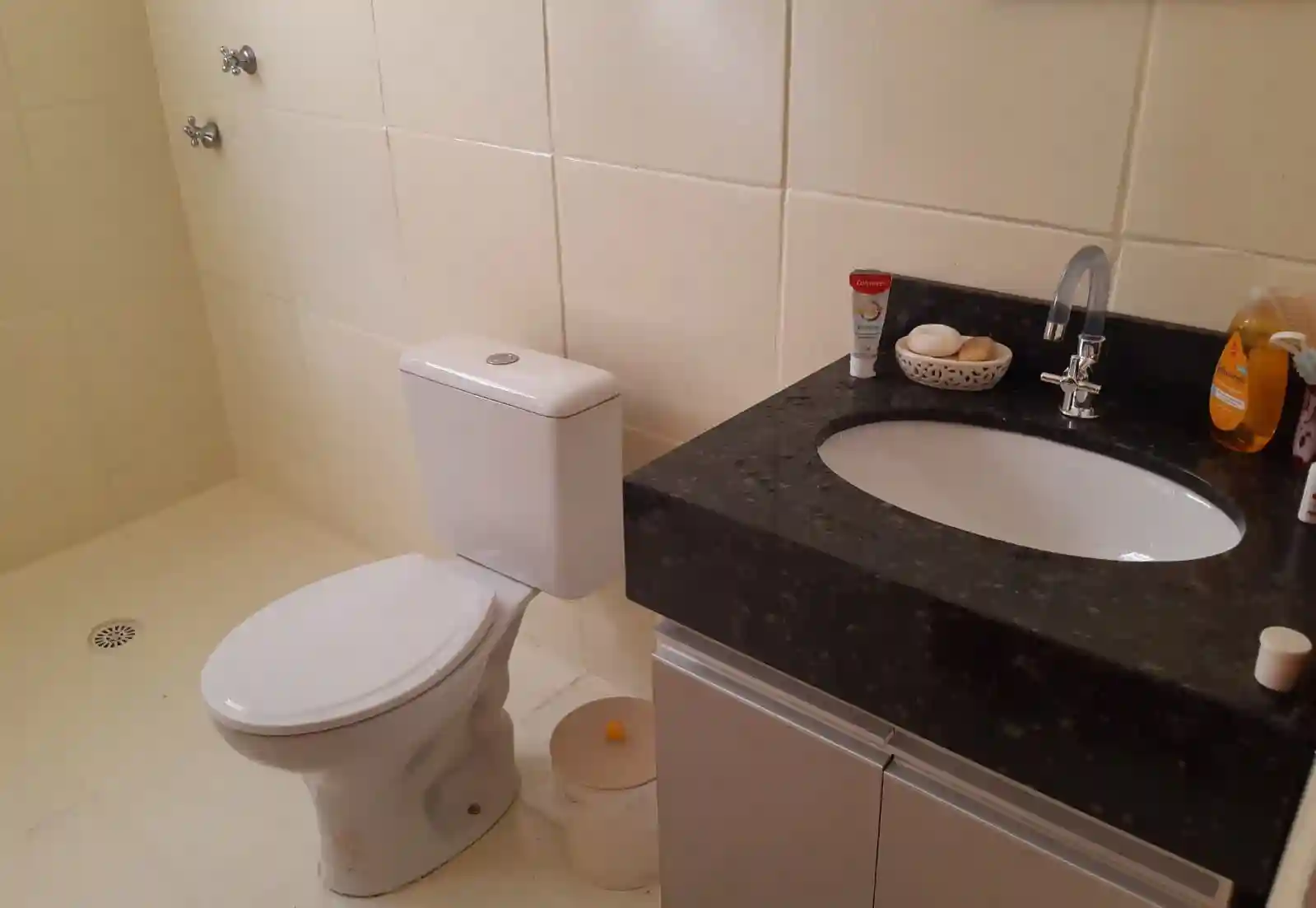 Fazenda / Sítio / Chácara com 3 quartos à venda, 1000m² — foto 13 de 24