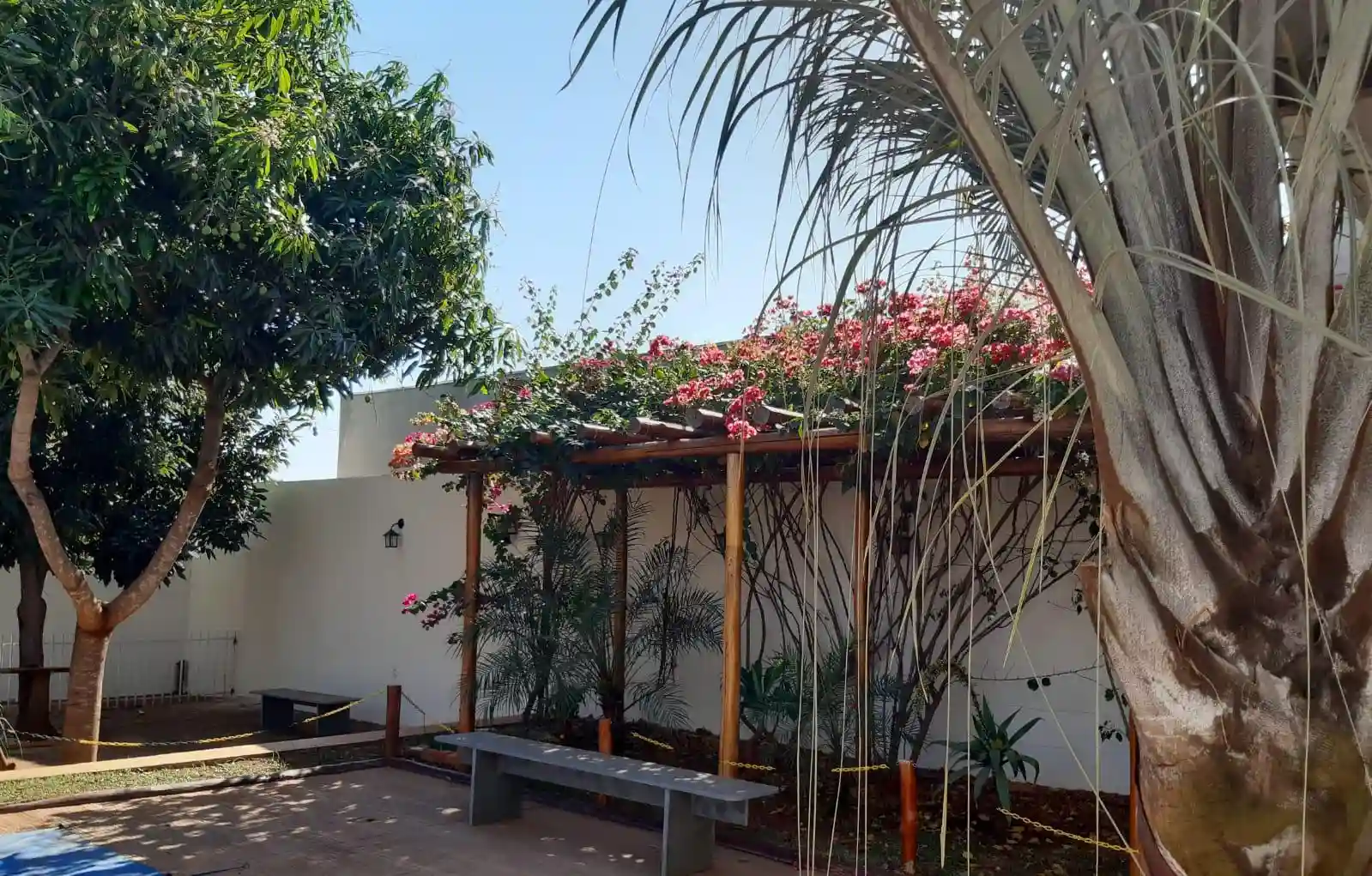 Fazenda / Sítio / Chácara com 3 quartos à venda, 1000m² — foto 16 de 24