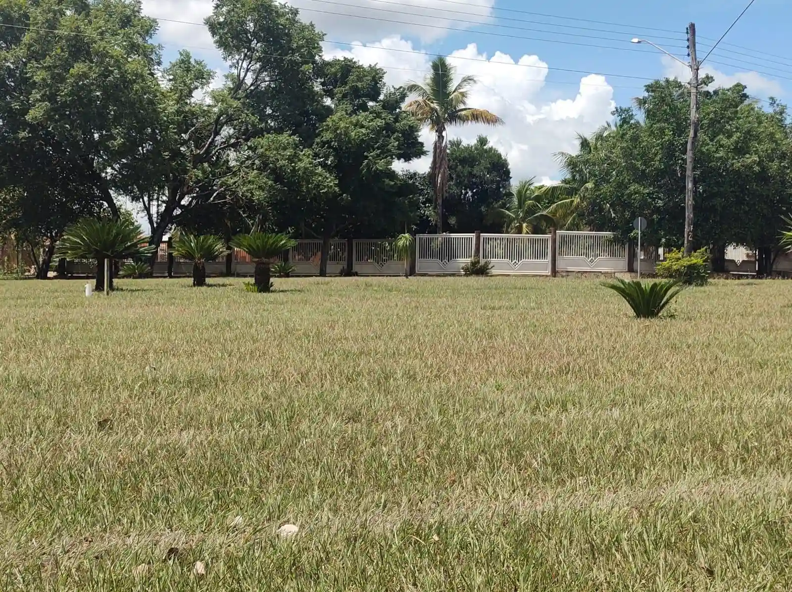 Fazenda / Sítio / Chácara  à venda, 5390m² — foto 23 de 27