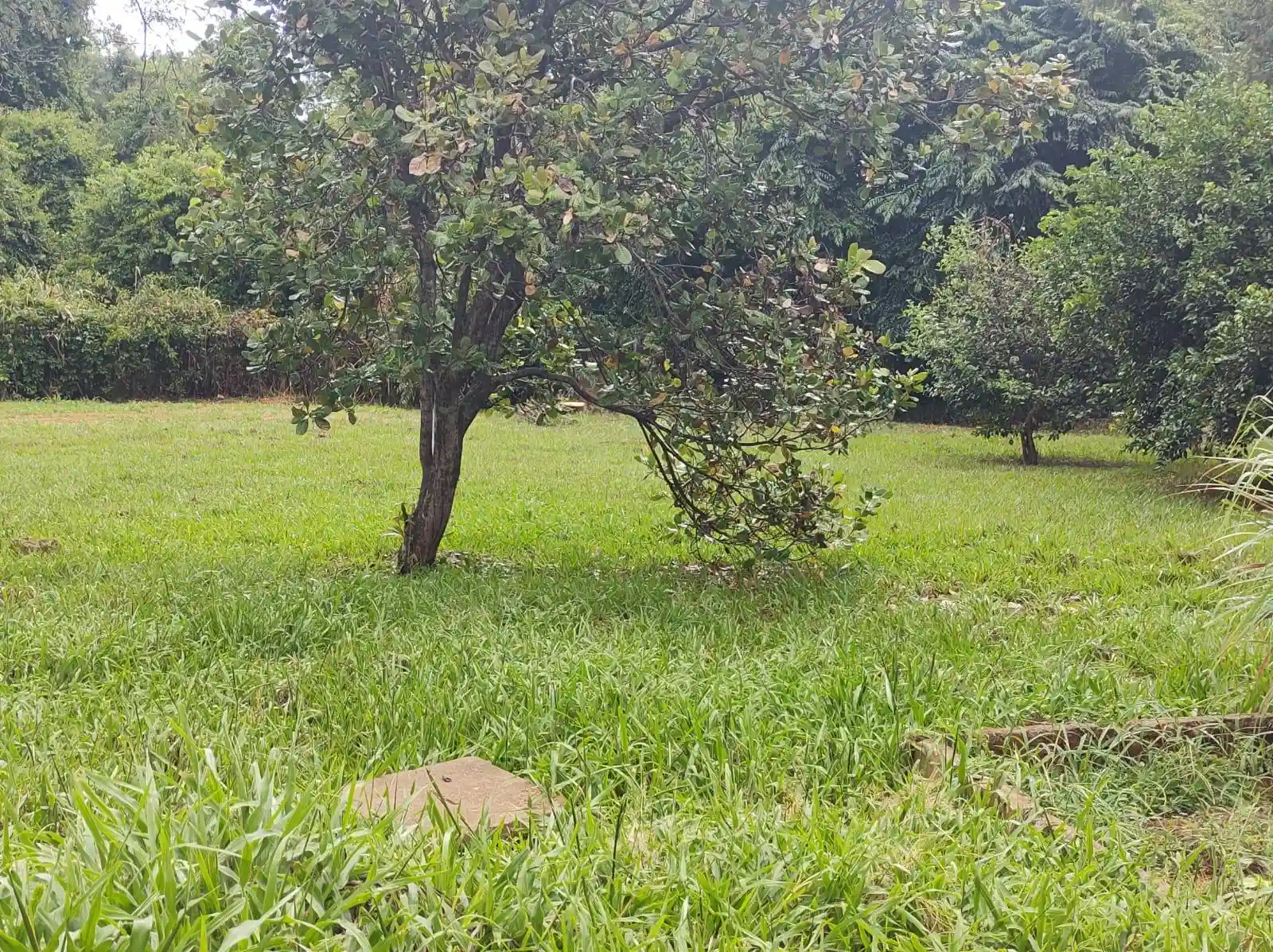 Fazenda / Sítio / Chácara  à venda, 5390m² — foto 19 de 27