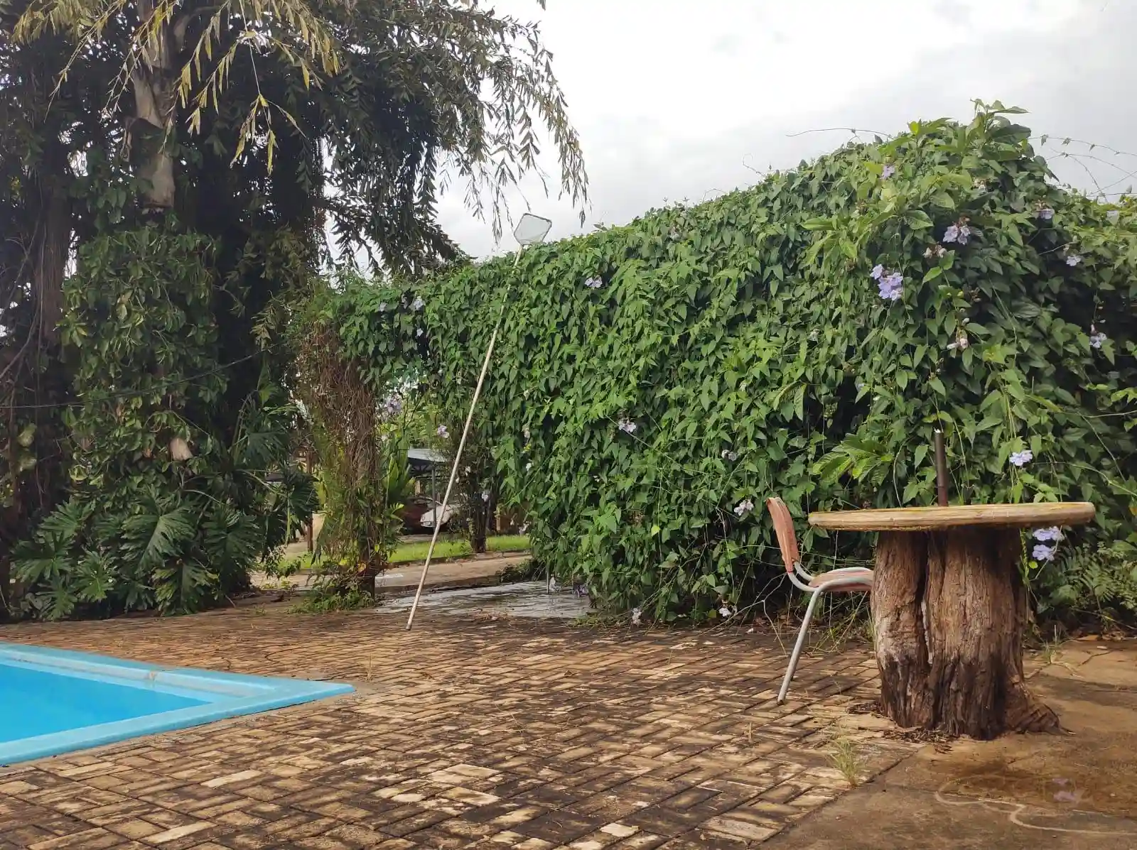 Fazenda / Sítio / Chácara  à venda, 5390m² — foto 24 de 27
